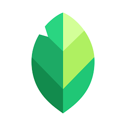 Snapseed icon